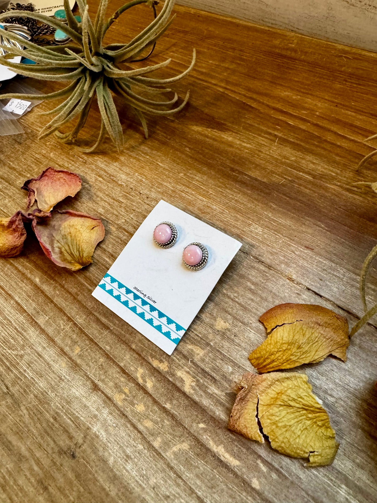 Pink Conch Stud Earrings by Esther White – Sterling Silver