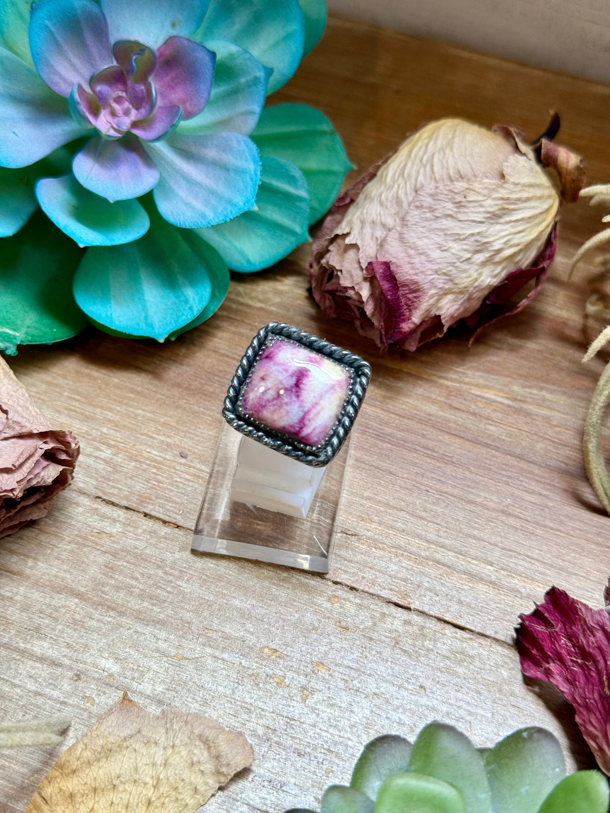 SS Purple Spiny Oyster - Adjustable