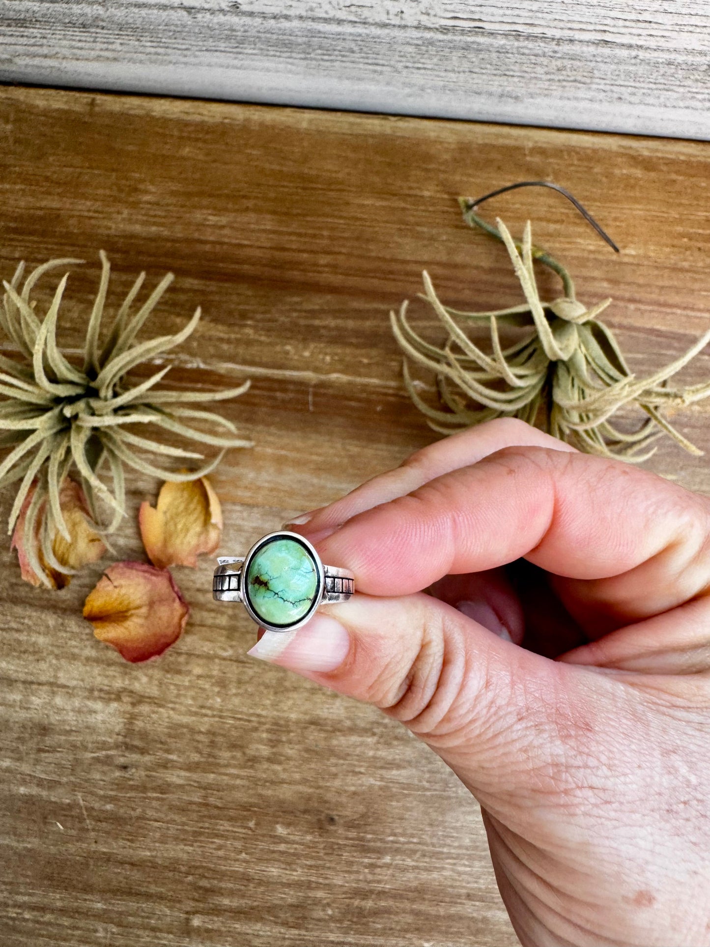 SS Sonoran Gold Turquoise Ring – sz 7