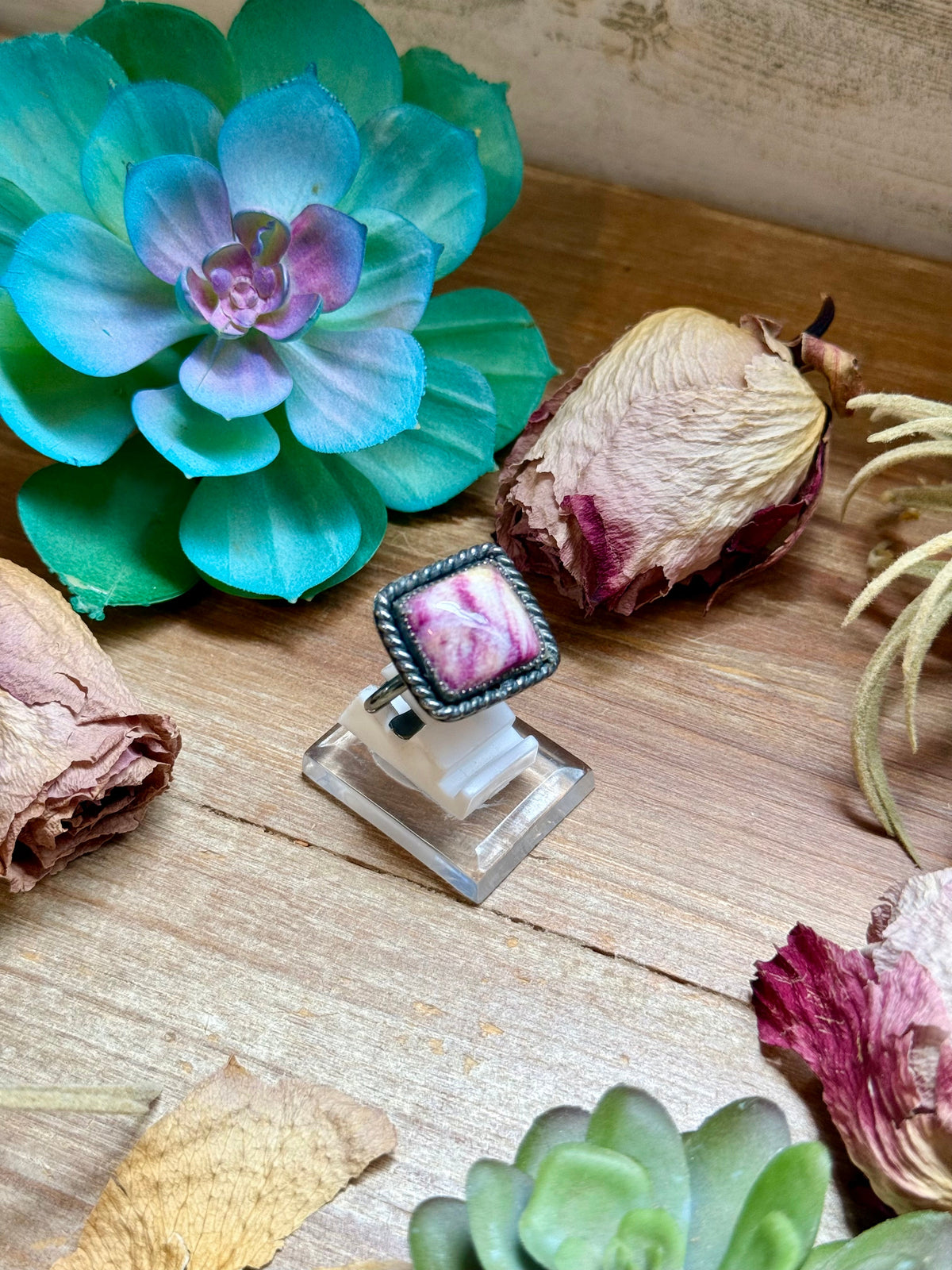 SS Purple Spiny Oyster - Adjustable