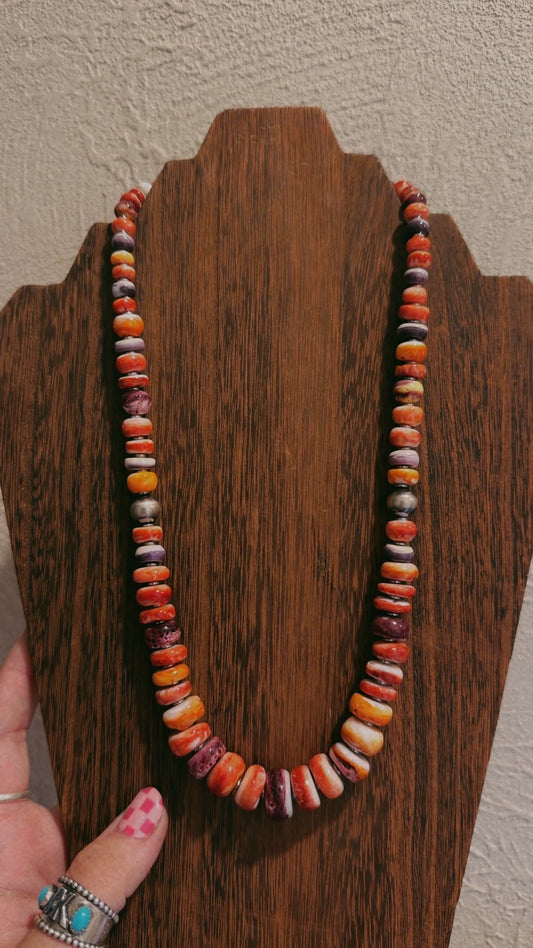 22” Orange, Purple & Red Spiny