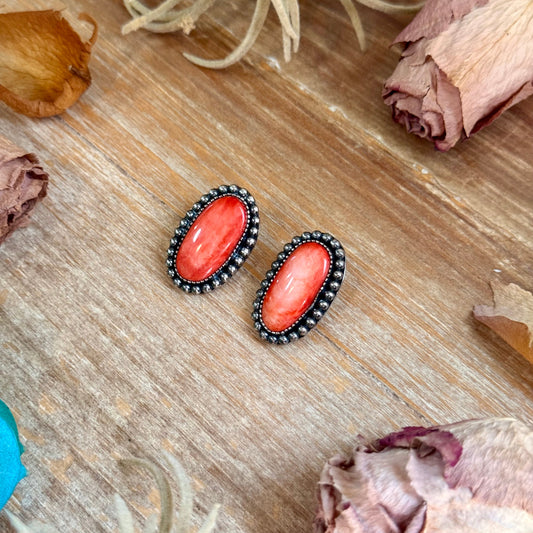 Red Spiny Oyster Beaded Border Stud Earrings