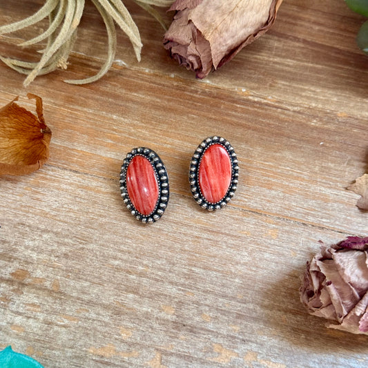 SS Red Spiny Oyster Beaded Border Stud Earrings