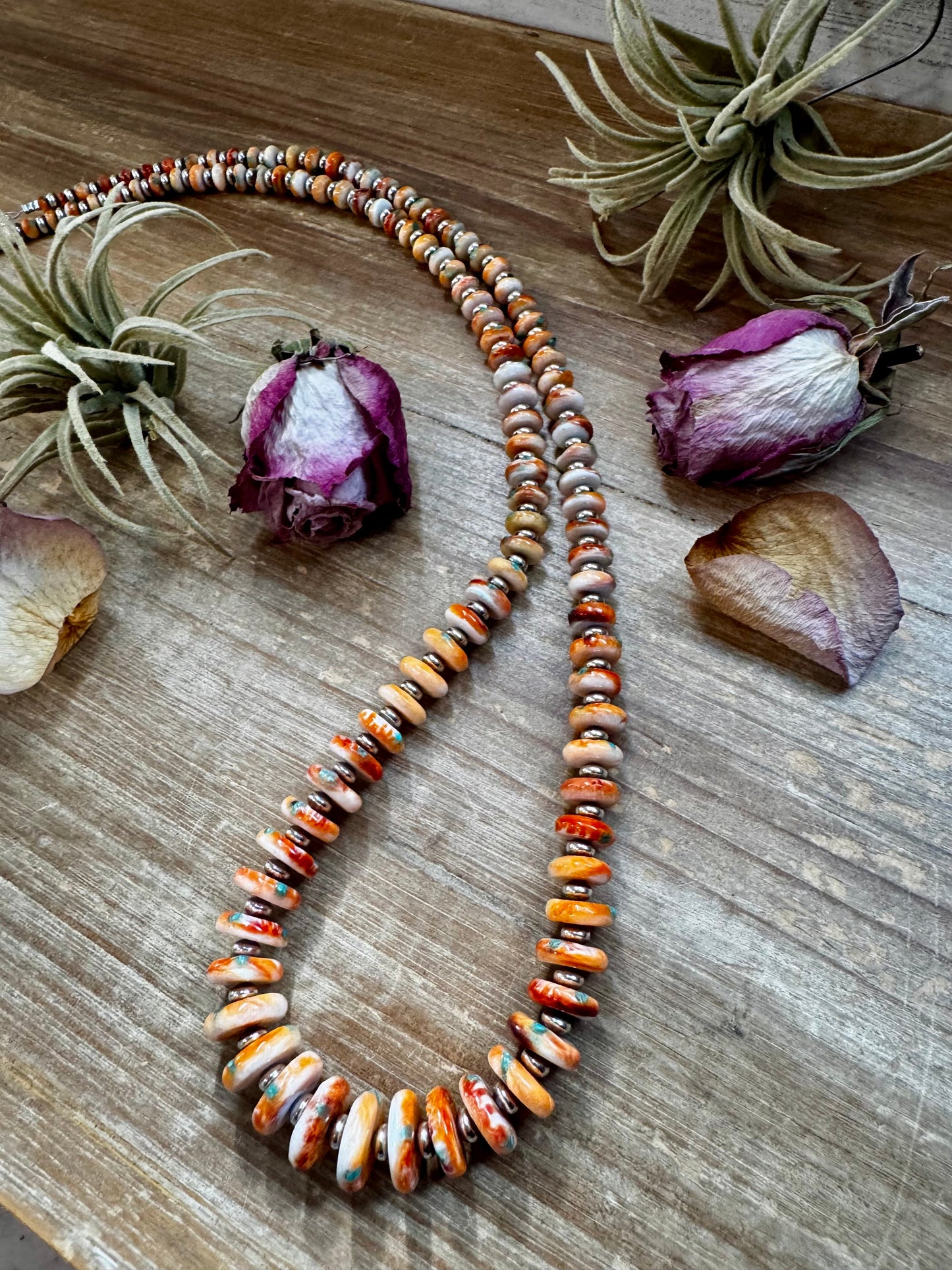 NFR Collection – Spiny Oyster & Turquoise with 6MM Sterling Silver Pearls – 32.5"