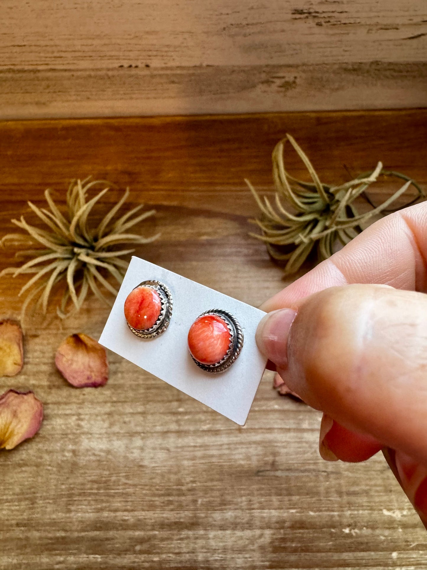 Spiny Oyster Stud Earrings – Sterling Silver