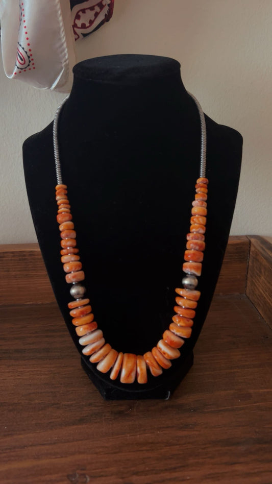 22” Orange Spiny graduated (plain)